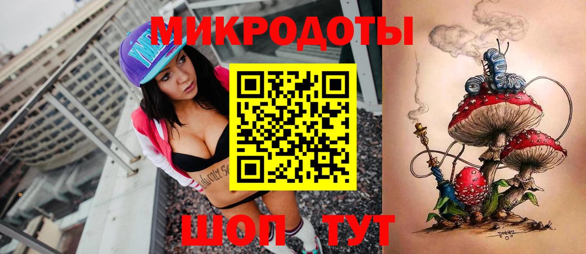 Псилоцибиновые грибы Psilocybe Унеча
